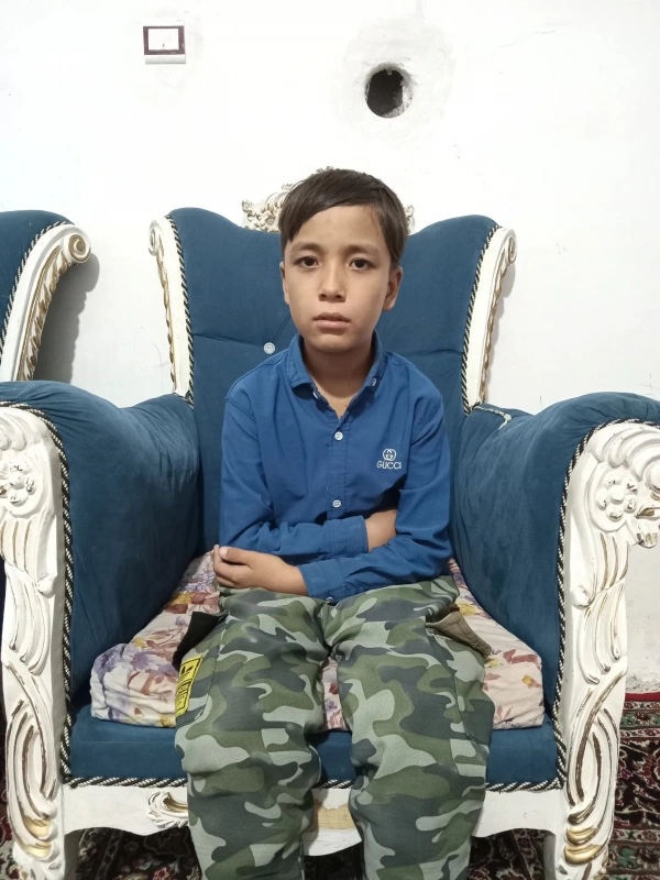 شاهین