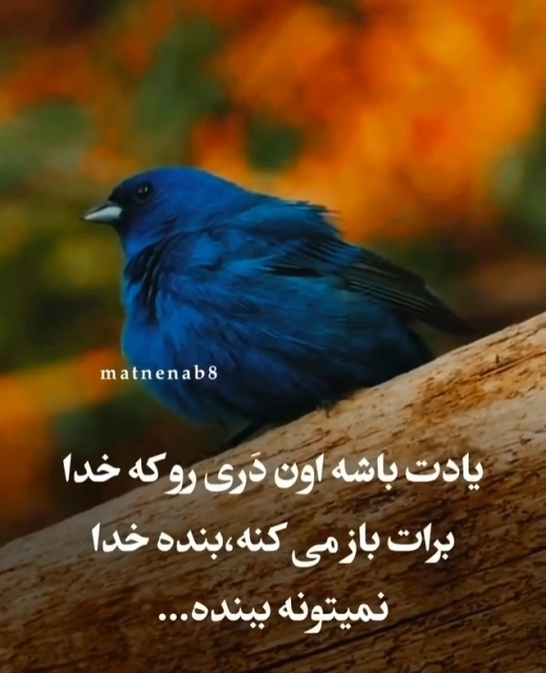 مریخ