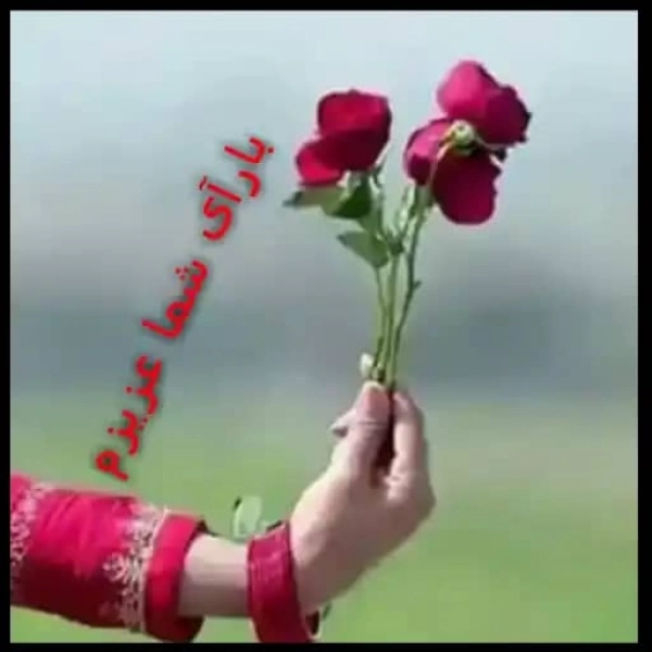 جلیل جان