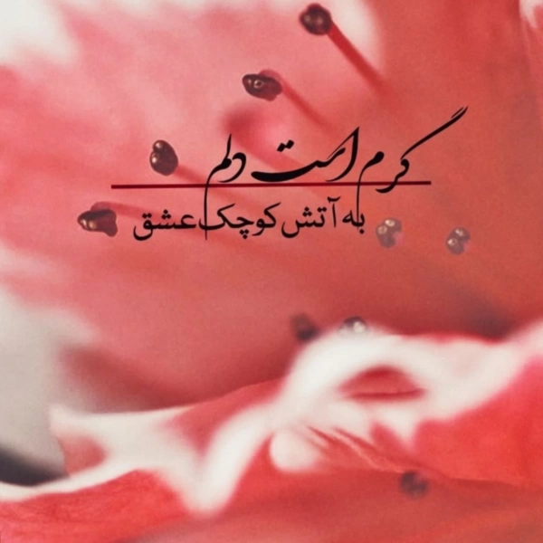 مرد میدان