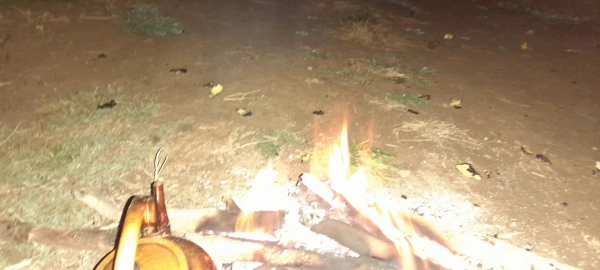 هادی