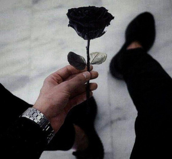 abolfazl_9724