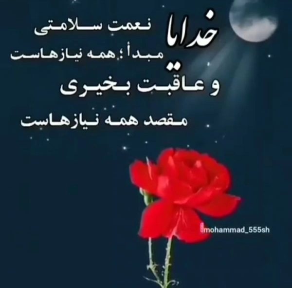 نگار۶۲