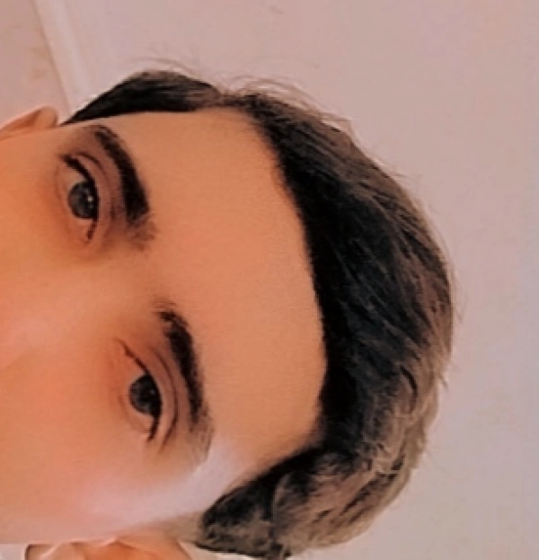 amir