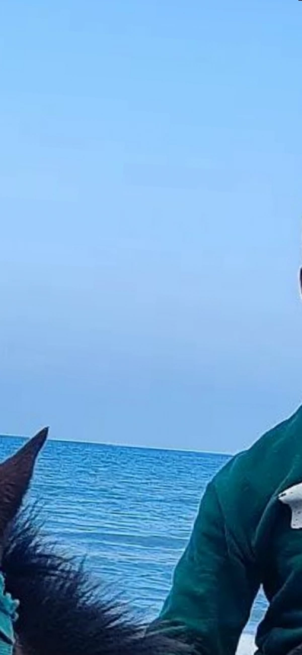 mmd