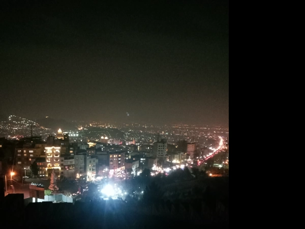 زن گربه ای