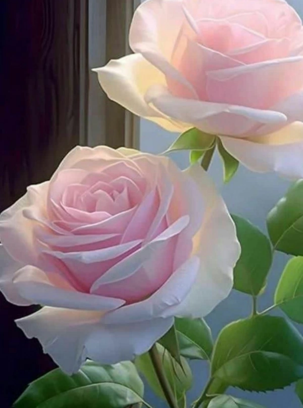 عمار