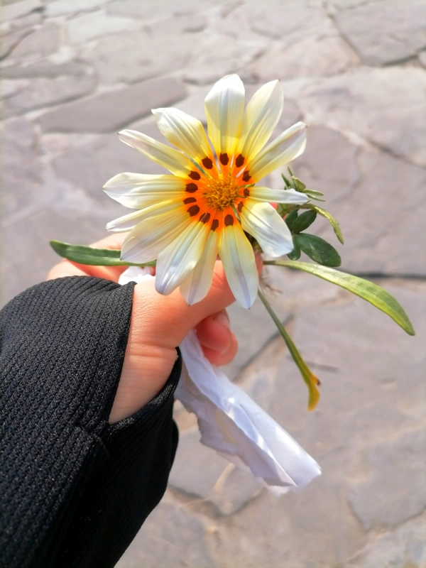 ماه