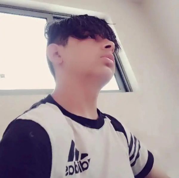 امیر