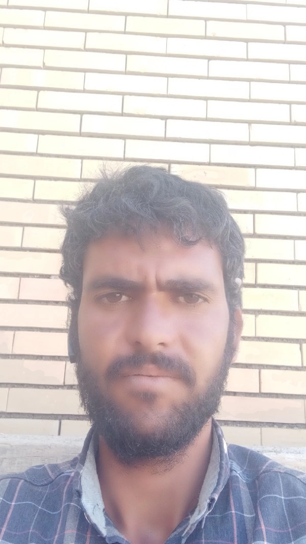 داودمحمدی