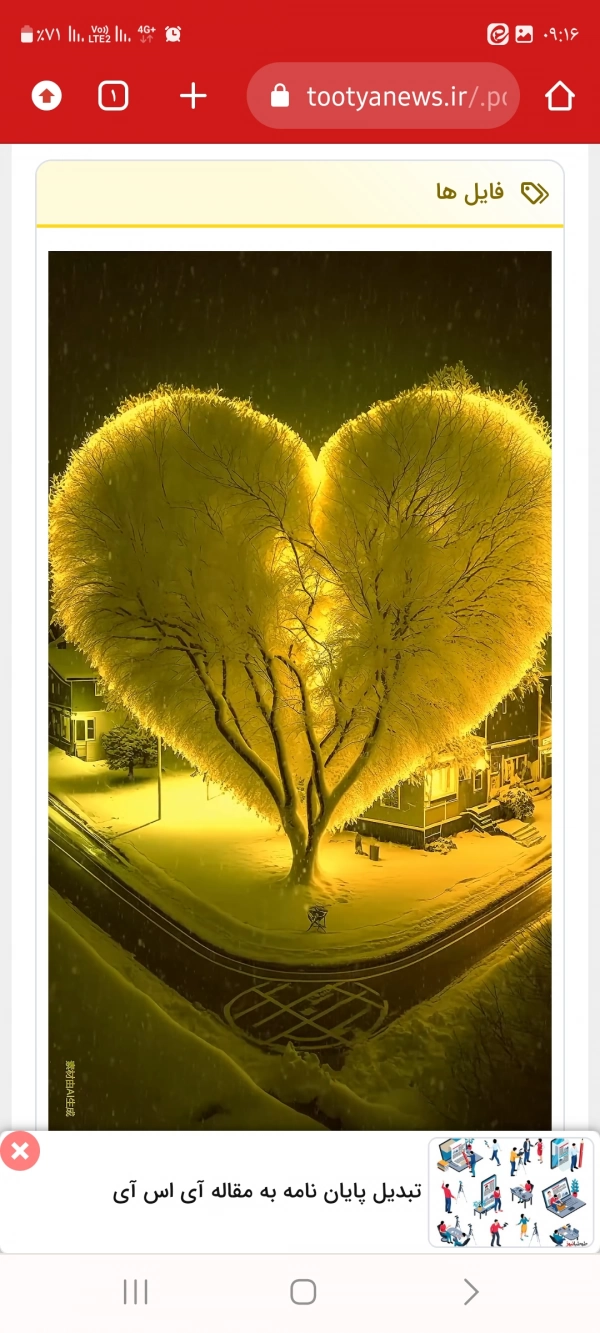 The heart is like a tree ❤