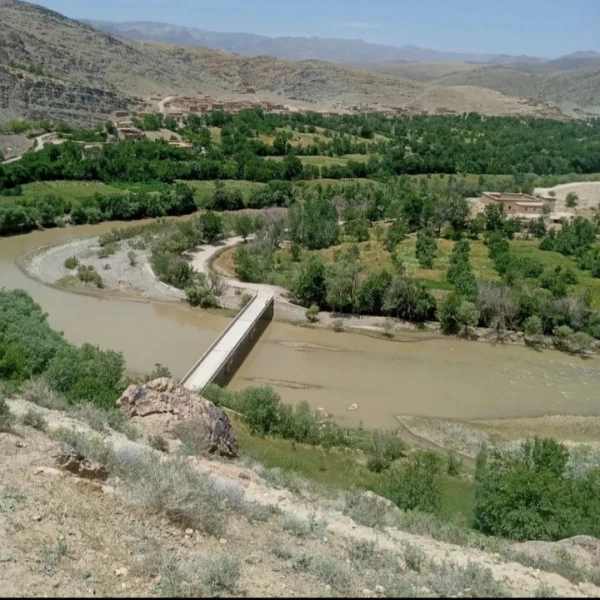 ابراهیم خالقی