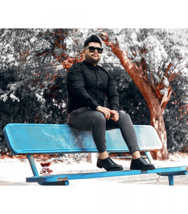 mehdi