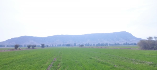 کهکشان
