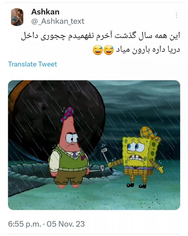 امیر