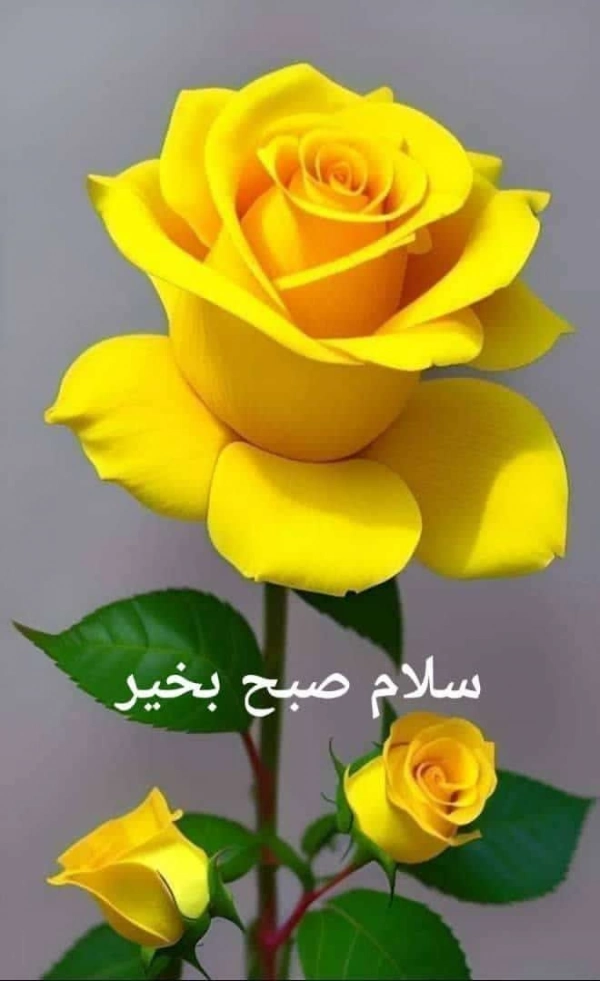 اوج