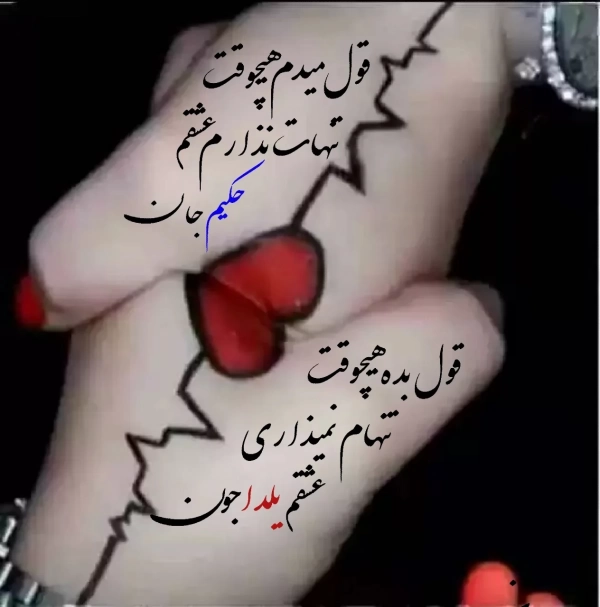 امیر