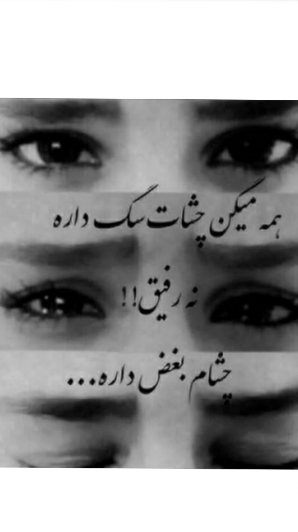 sajedeh