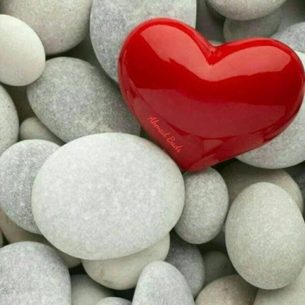 علی