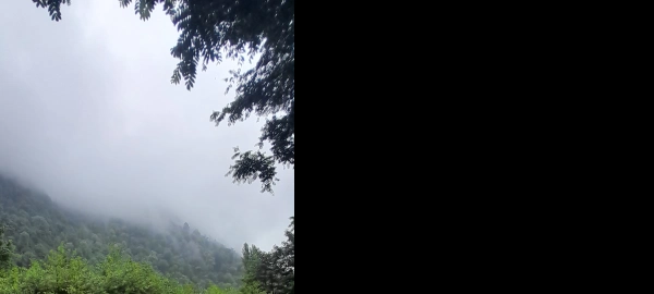 مریم