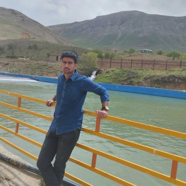 fardin