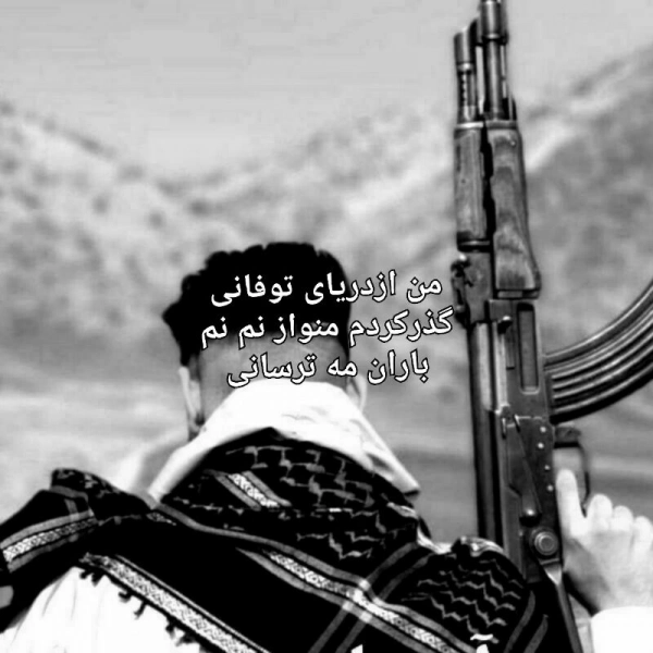 پویا