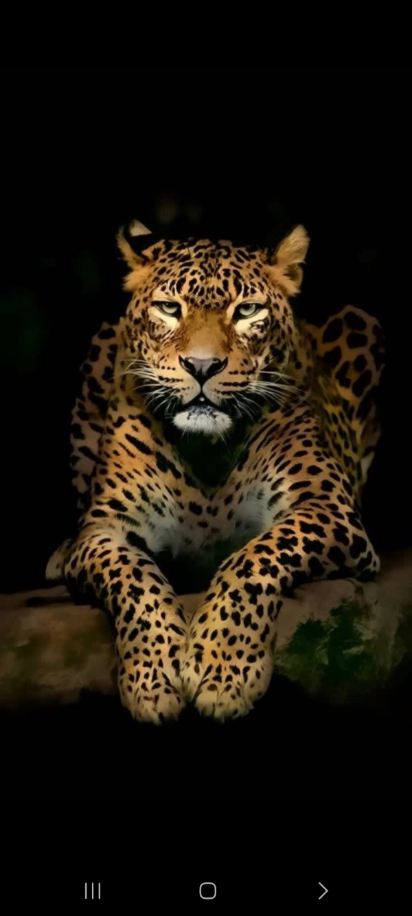 زمین