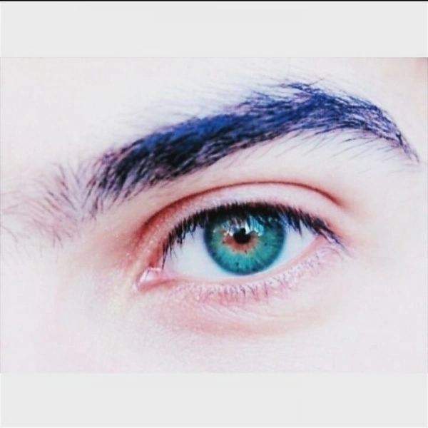 احمدرضا