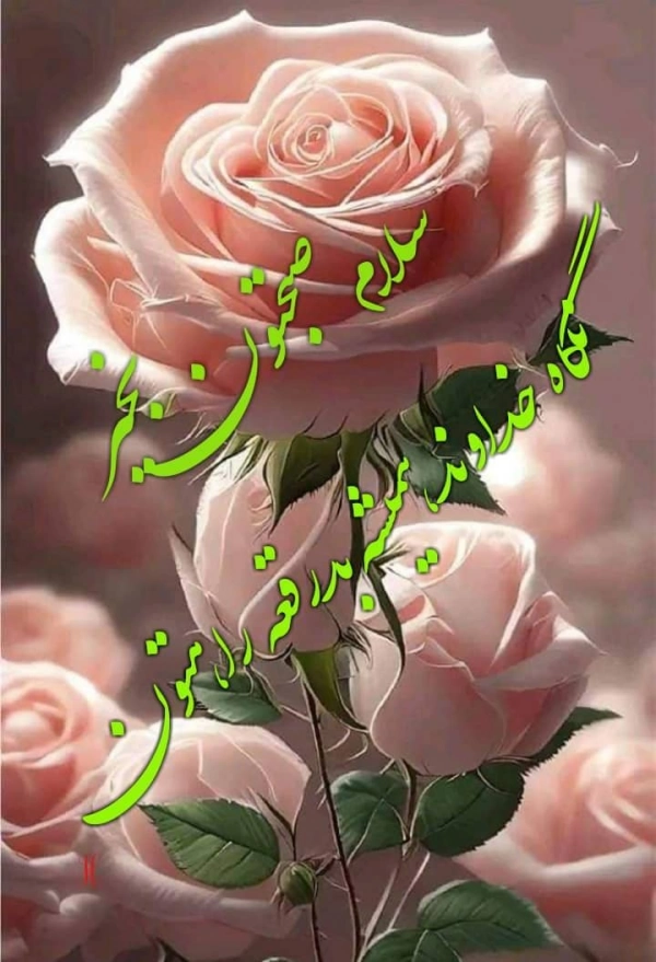 حسام