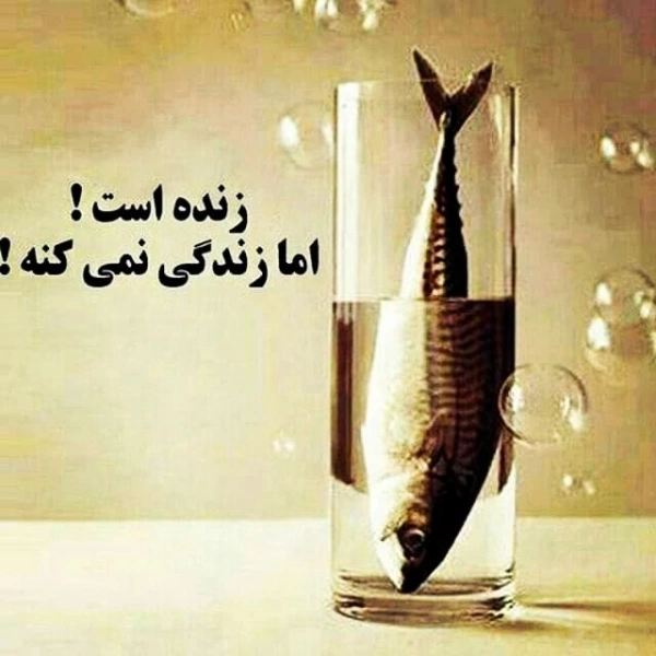 ناصر