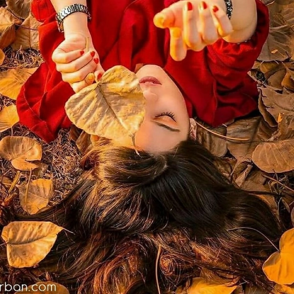 نیکا