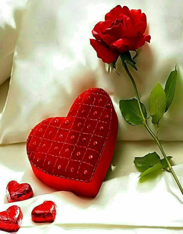 خدم تنها
