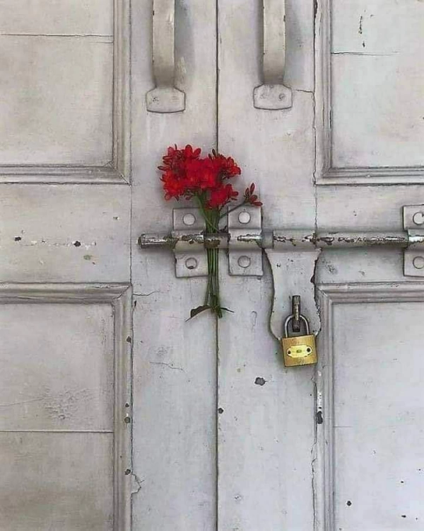 محمد 09397015196