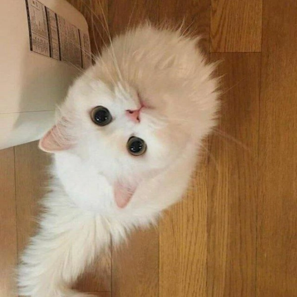 n.m ♥️