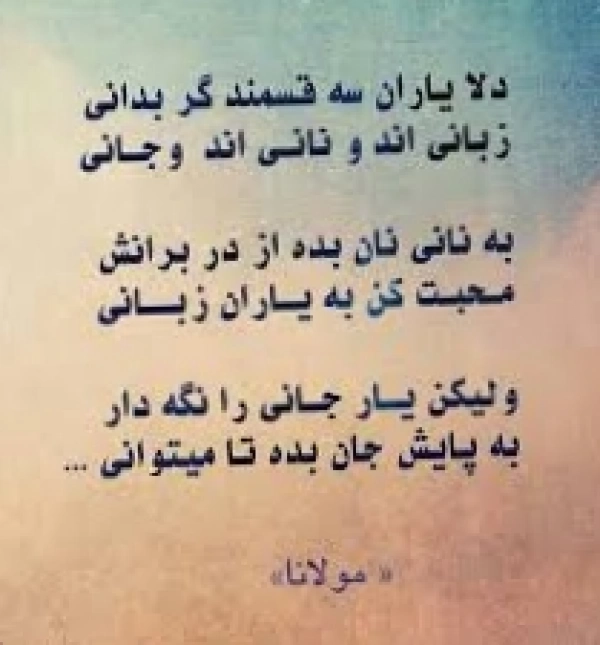 زمین