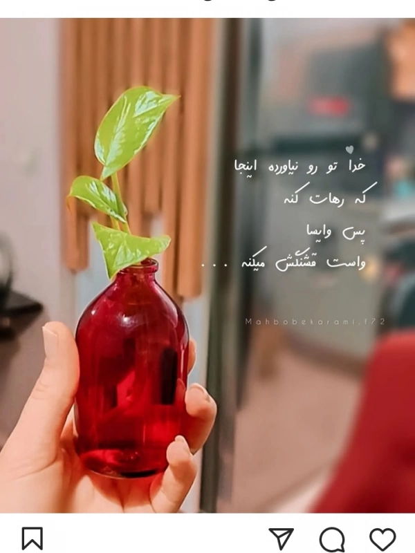 amir