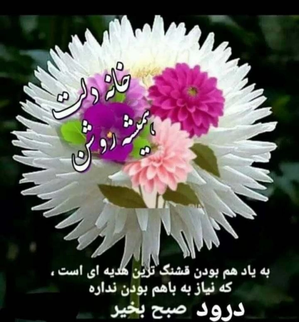 میلاد۲۸شیراز بیاد بالا