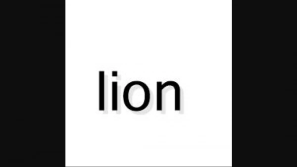lion2024