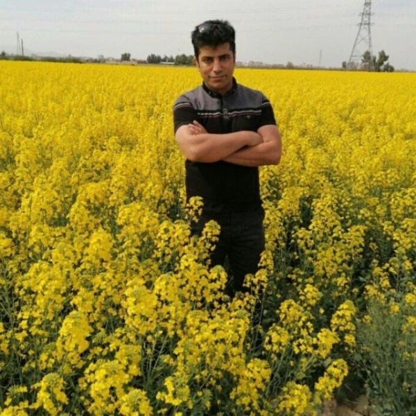 mojtaba55