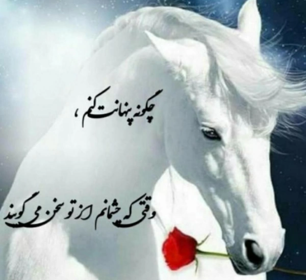 Amermahdey