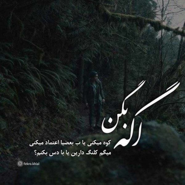 امیر
