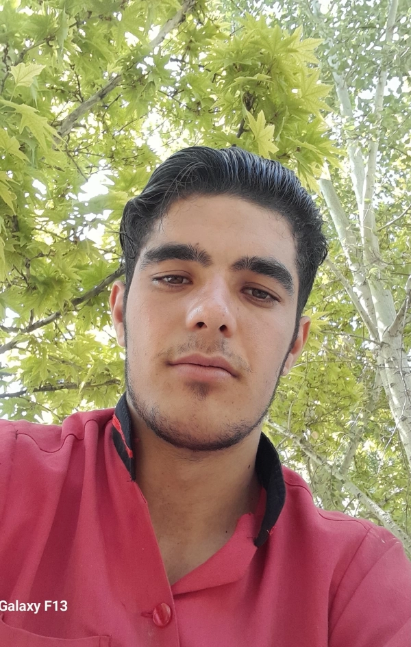 محمد امین از زنجان