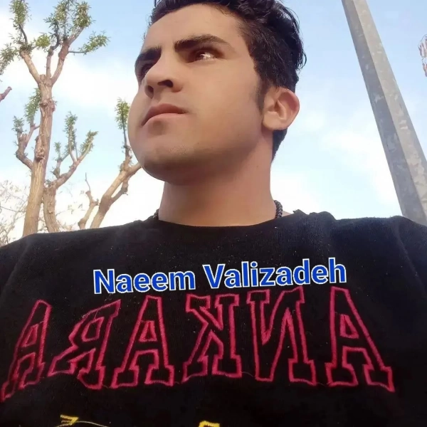 سیاره 3293