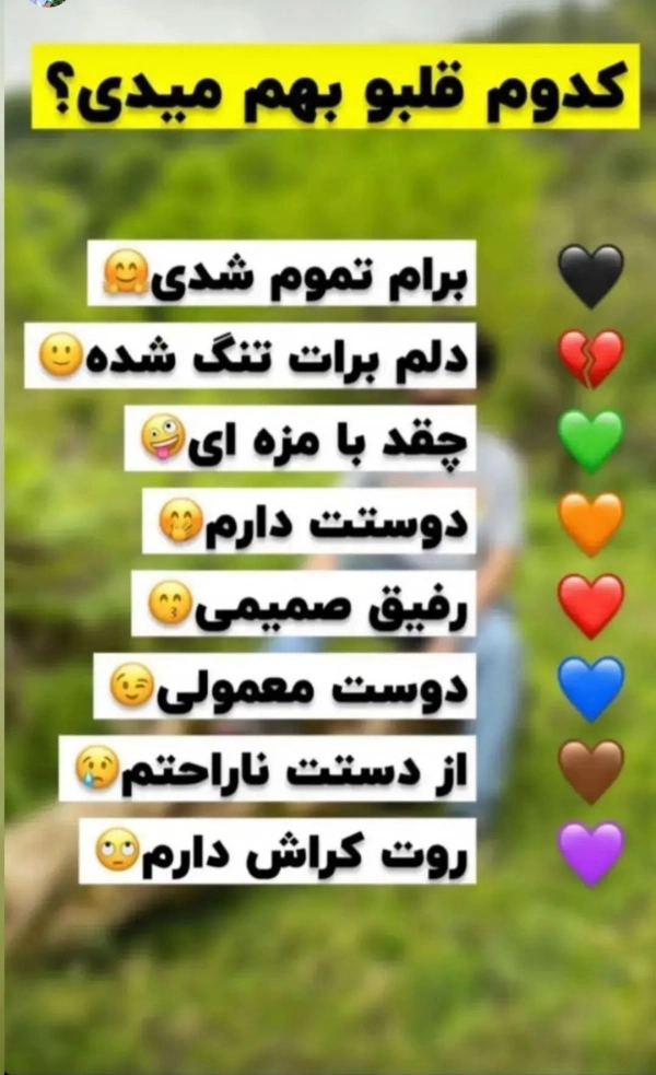 Reza85
