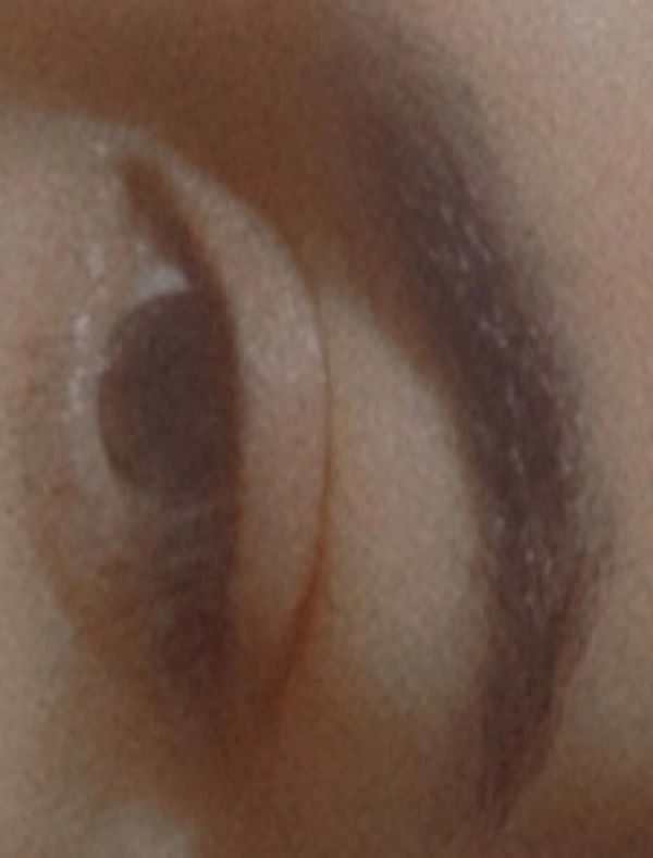 ساحل