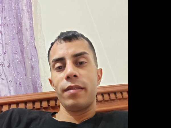 hamed2324
