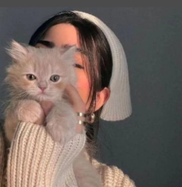Sitila Safi
