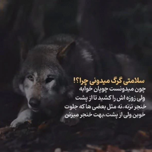 معصومه حسنی