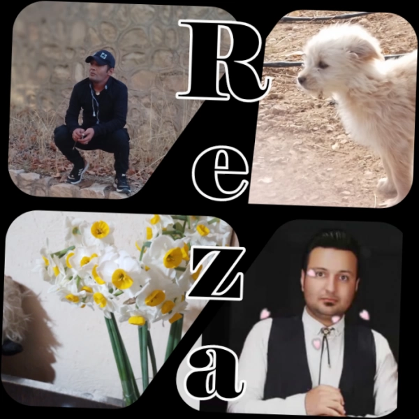 Reza .bik.221