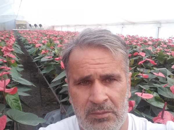 داریوش